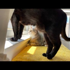 Meet your Posher, Olivia